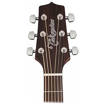 Amazon.com: Takamine GF30CE-BSB Gloss Brown Sunburst